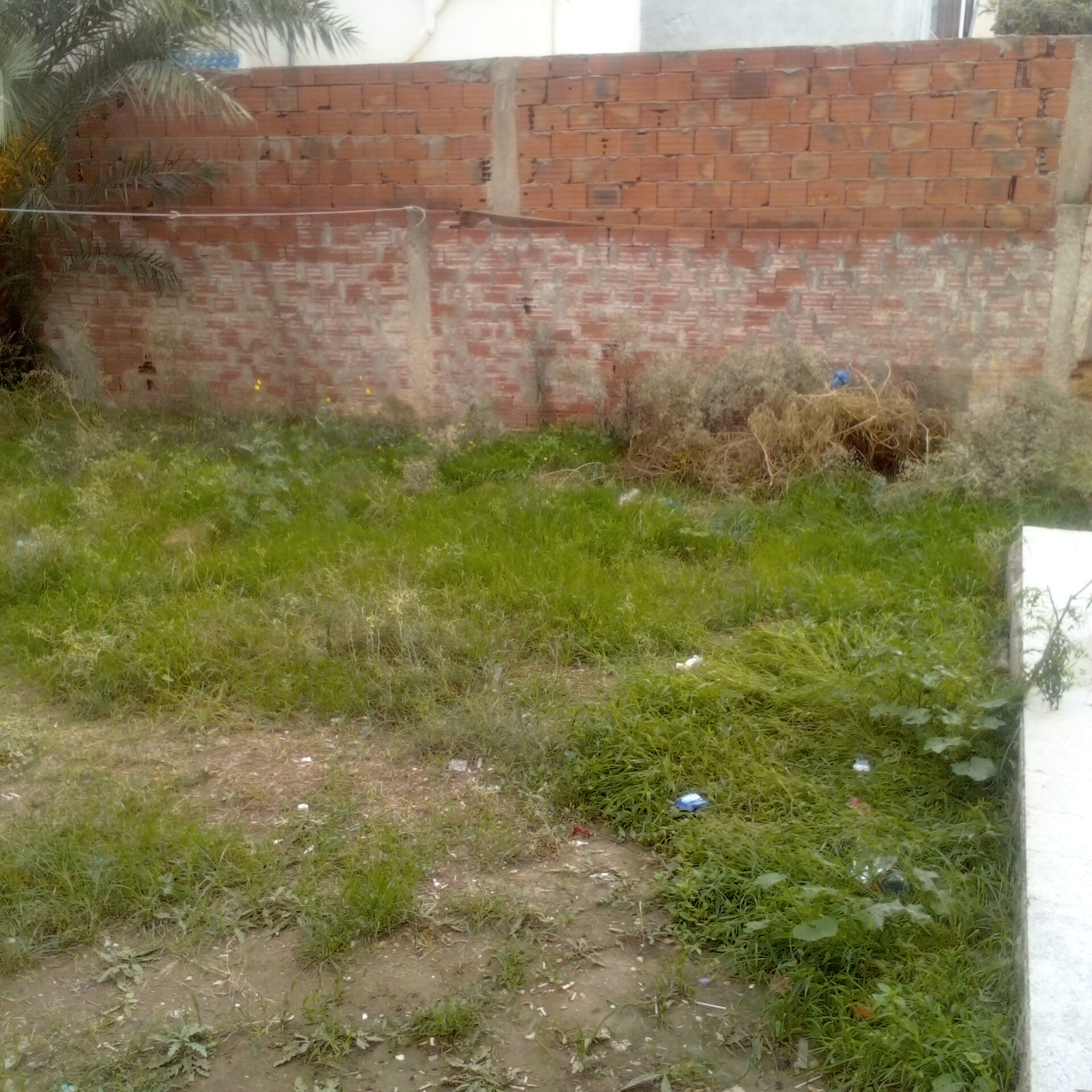 La Soukra Mosque Erraoudha Vente Autre Un terrain  103 000 dt