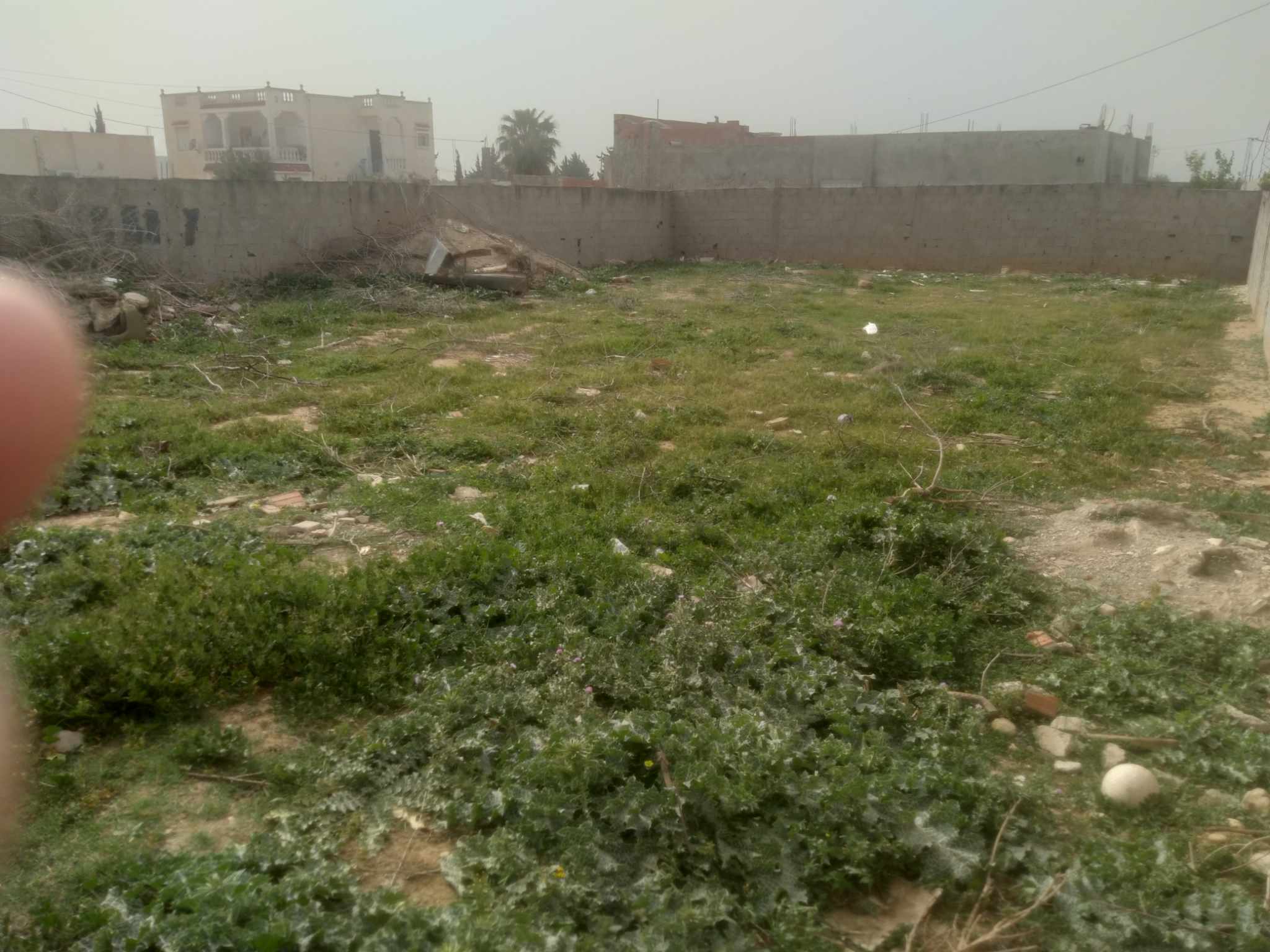 Raoued Borj Touil Terrain Terrain nu Bonne occasion