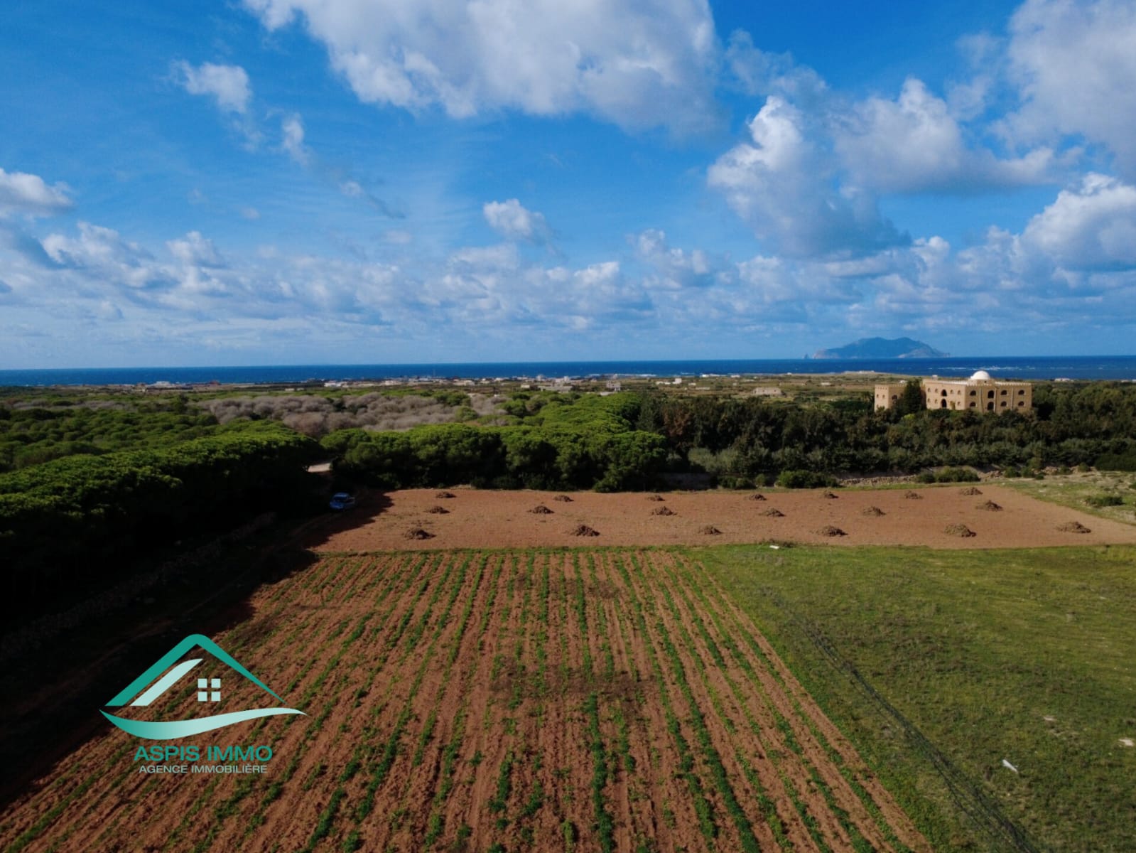 El Haouaria Sidi Daoud Vente Surfaces Vt809 terrain agricole  sidi daoued hawaria