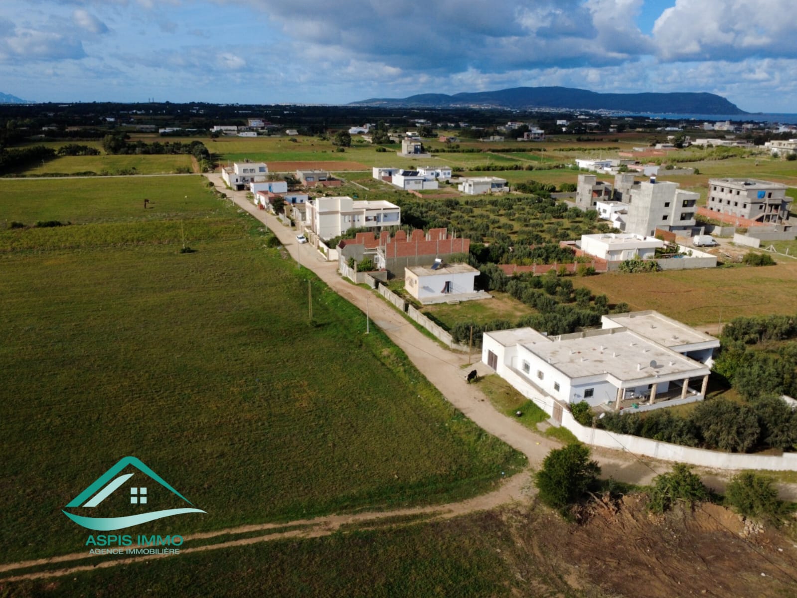 Kelibia Dar Allouche Vente Surfaces Vt961 terrain 800 m2  dar allouch