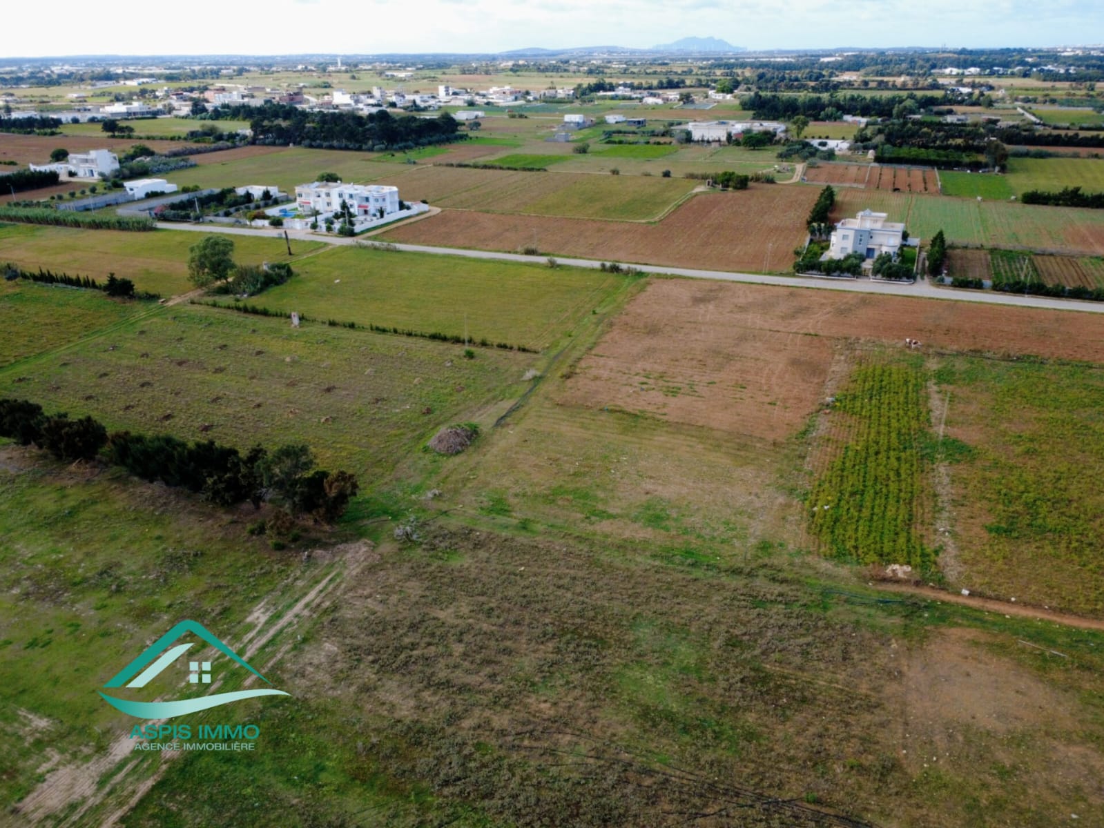 Kelibia Dar Allouche Vente Surfaces Vt961 terrain 800 m2  dar allouch