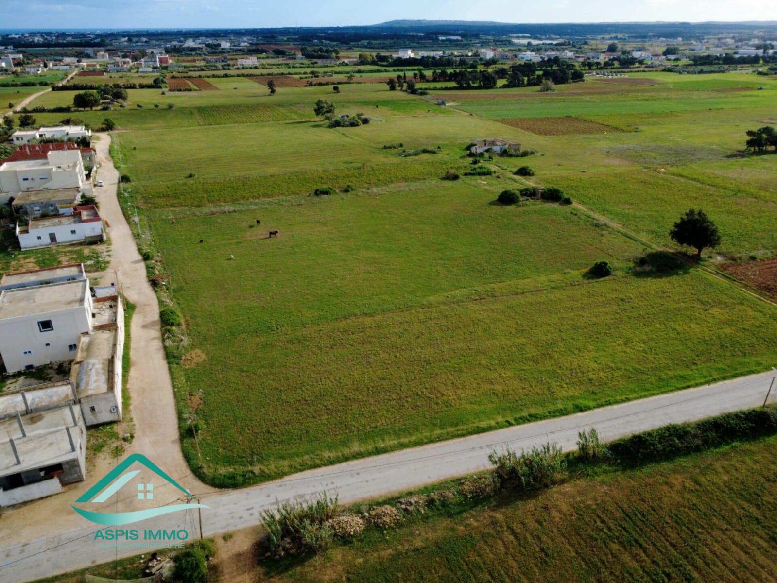 Kelibia Dar Allouche Vente Surfaces Vt961 terrain 800 m2  dar allouch