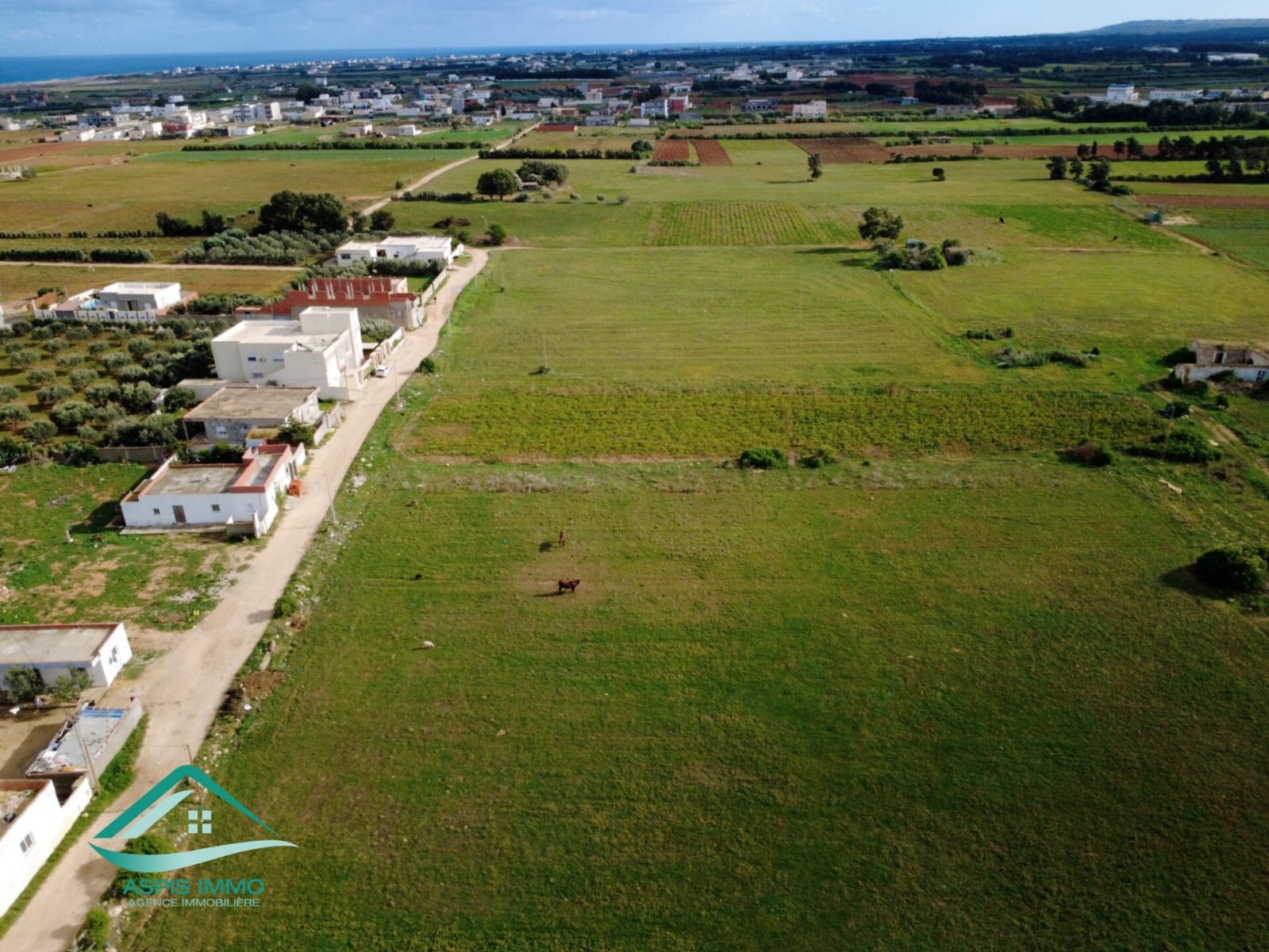 Kelibia Dar Allouche Vente Surfaces Vt961 terrain 800 m2  dar allouch