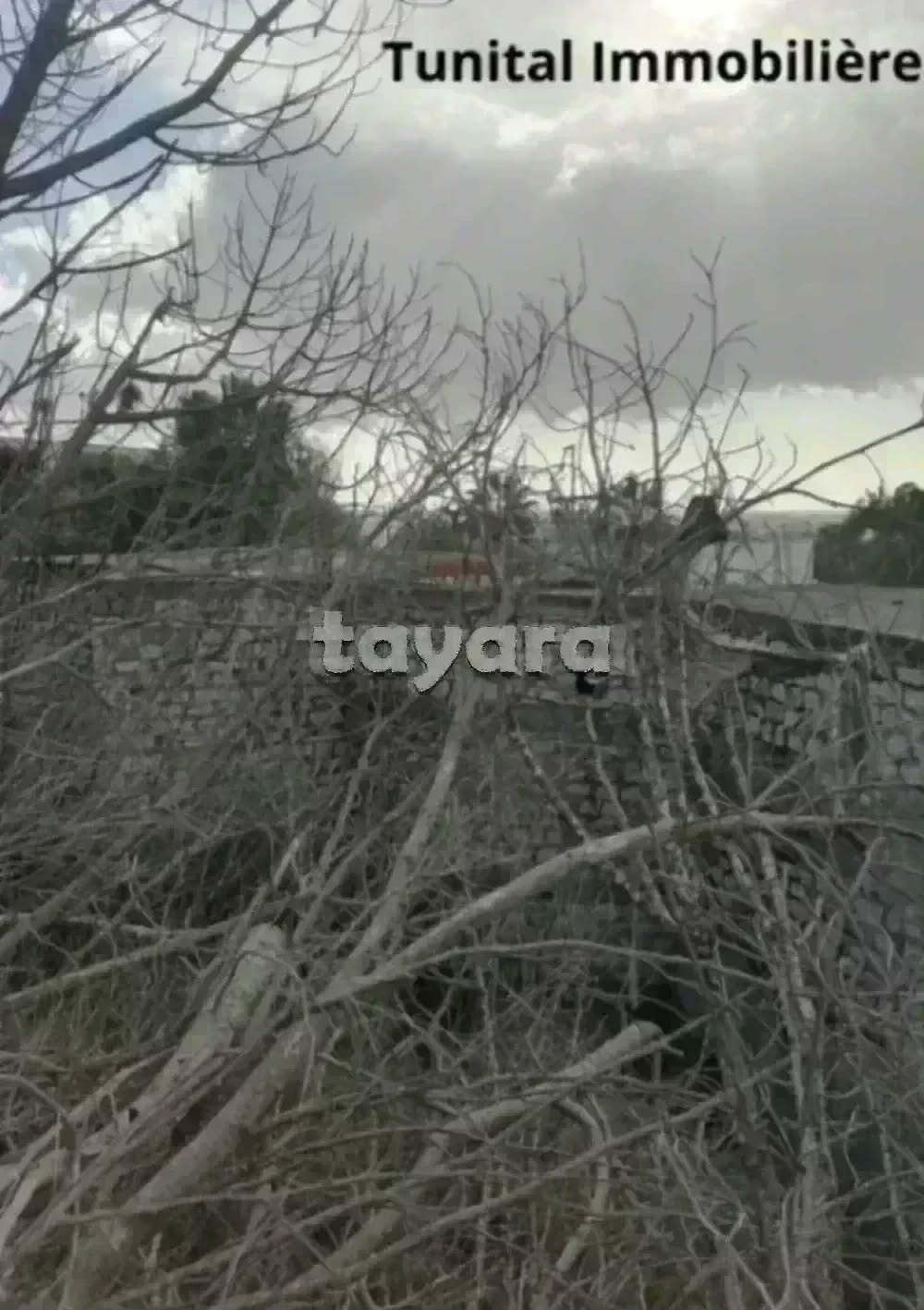 La Marsa Gammart Terrain Terrain nu Terrain  gammarth suprieur