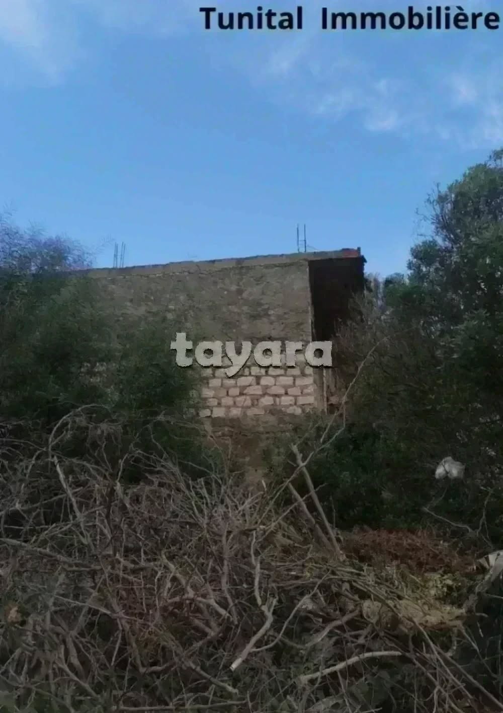 La Marsa Gammart Terrain Terrain nu Terrain  gammarth suprieur