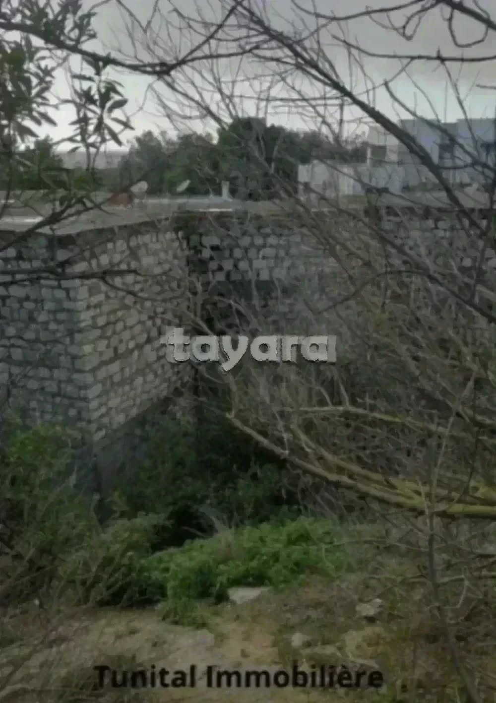 La Marsa Gammart Terrain Terrain nu Terrain  gammarth suprieur