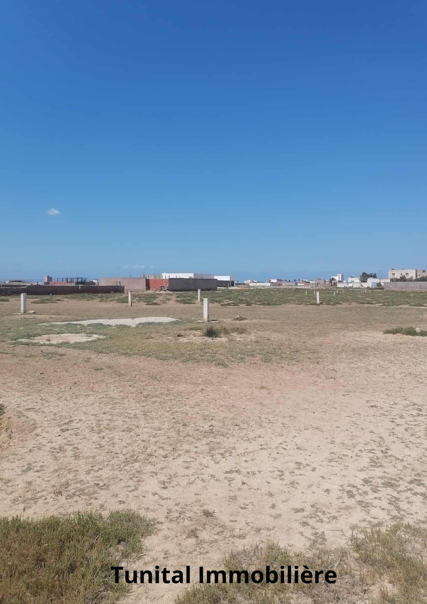 Ariana Ville Ariana Terrain Terrain nu Terrain  usage d'habitation