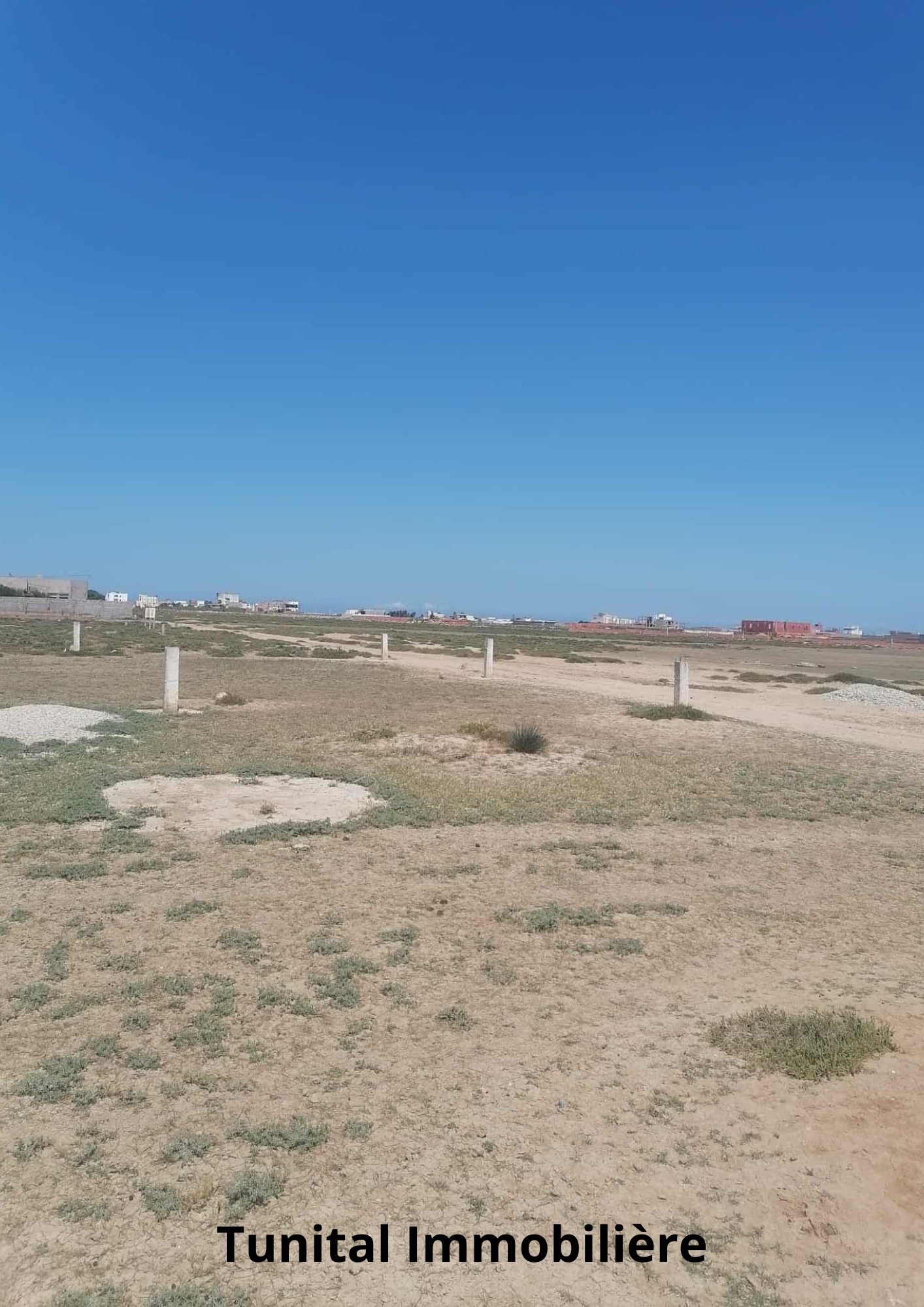 Ariana Ville Ariana Terrain Terrain nu Terrain  usage d'habitation