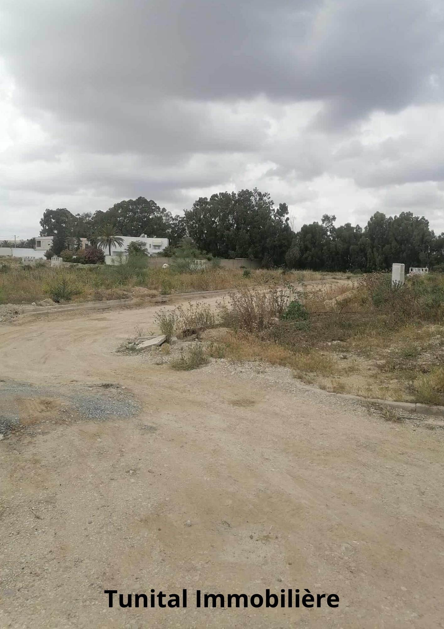 La Soukra Chotrana 3 Terrain Terrain nu Terrain coltur r plus deux