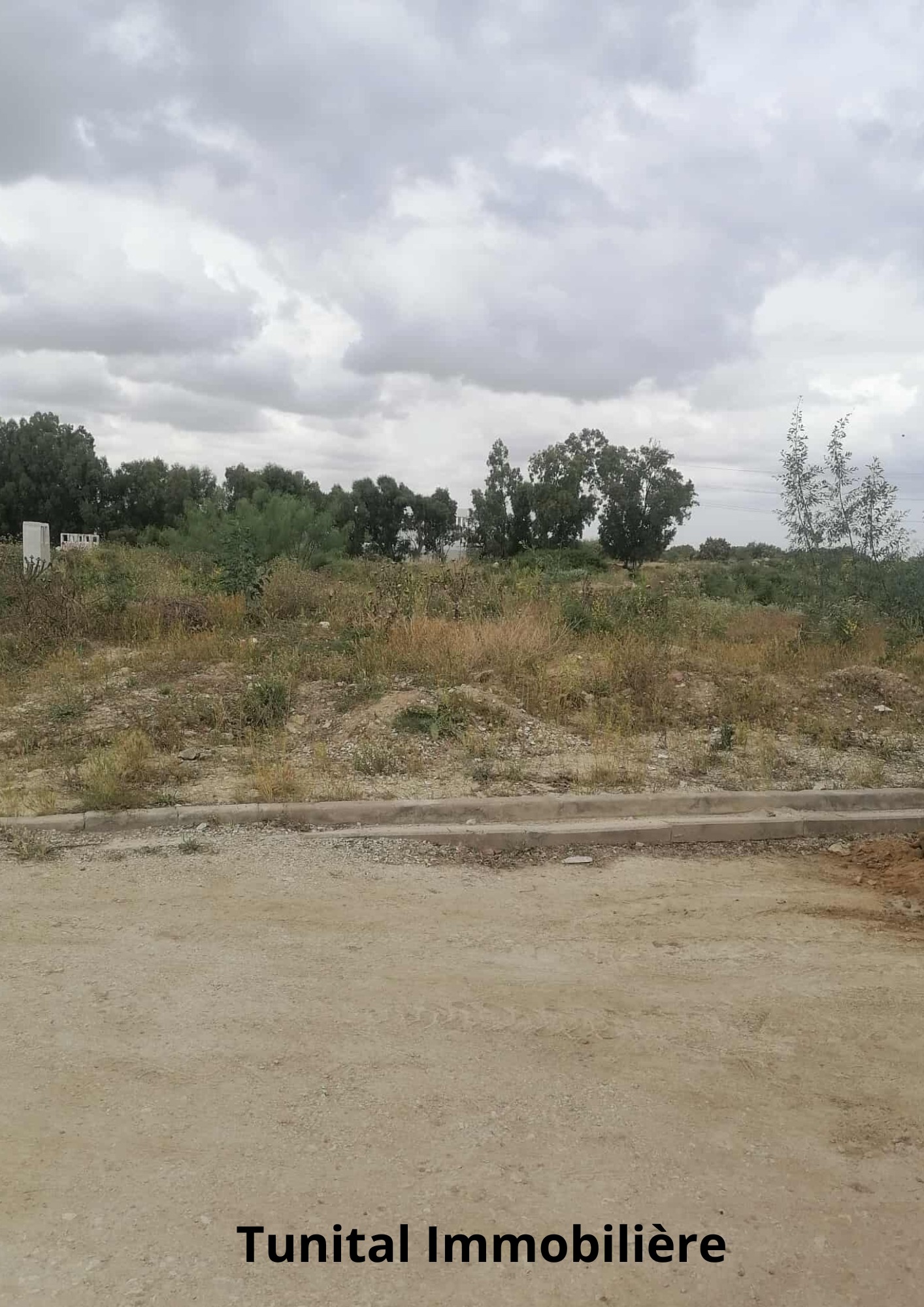 La Soukra Chotrana 3 Terrain Terrain nu Terrain coltur r plus deux