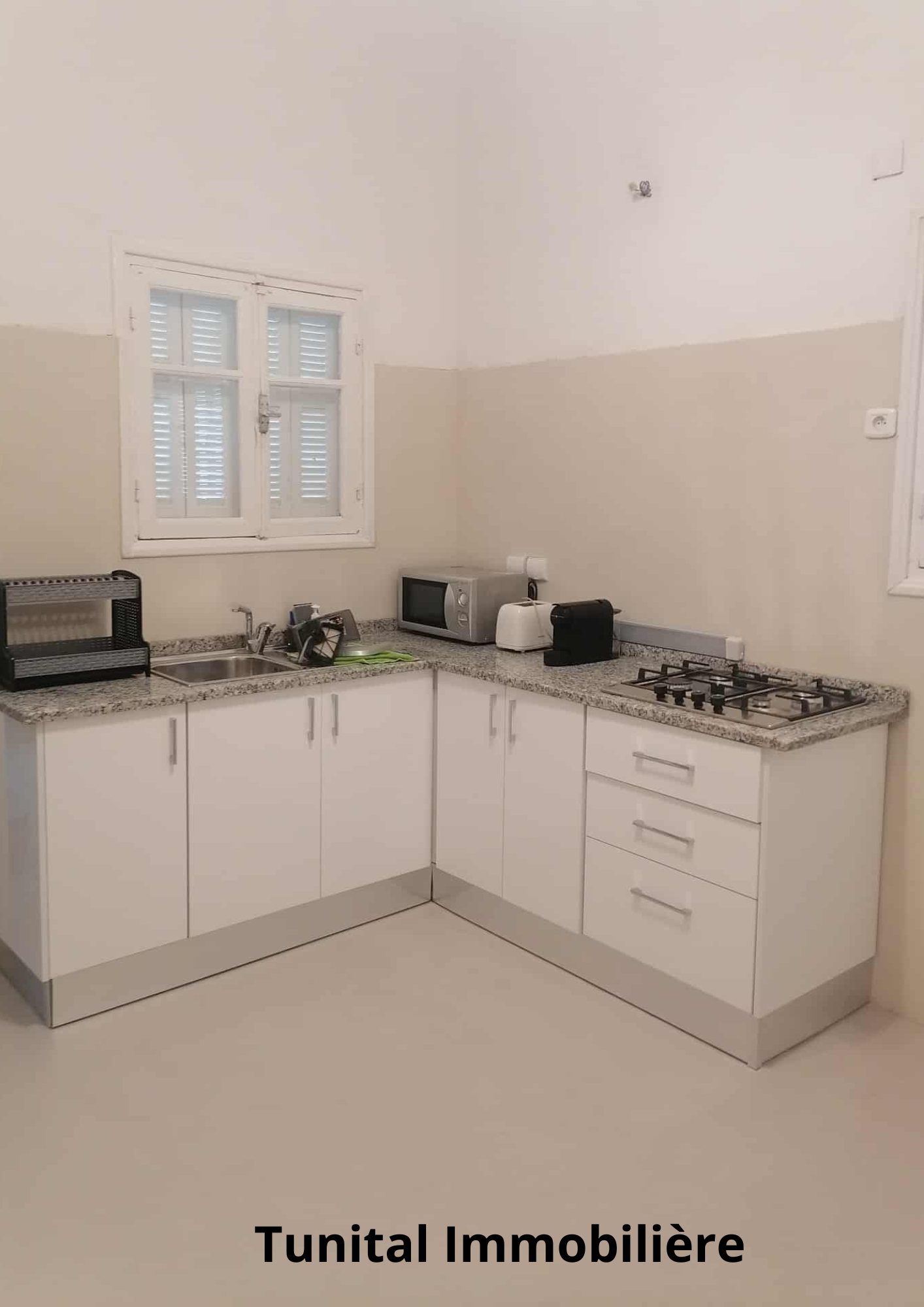 Carthage Cartage Byrsa Vente Maisons Villa  sur deux niveaux spars