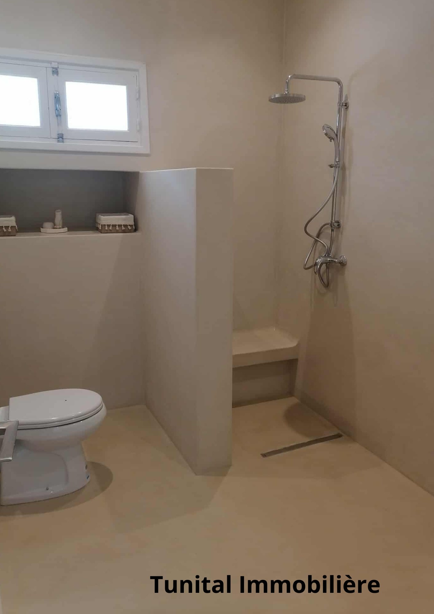 Carthage Cartage Byrsa Vente Maisons Villa  sur deux niveaux spars