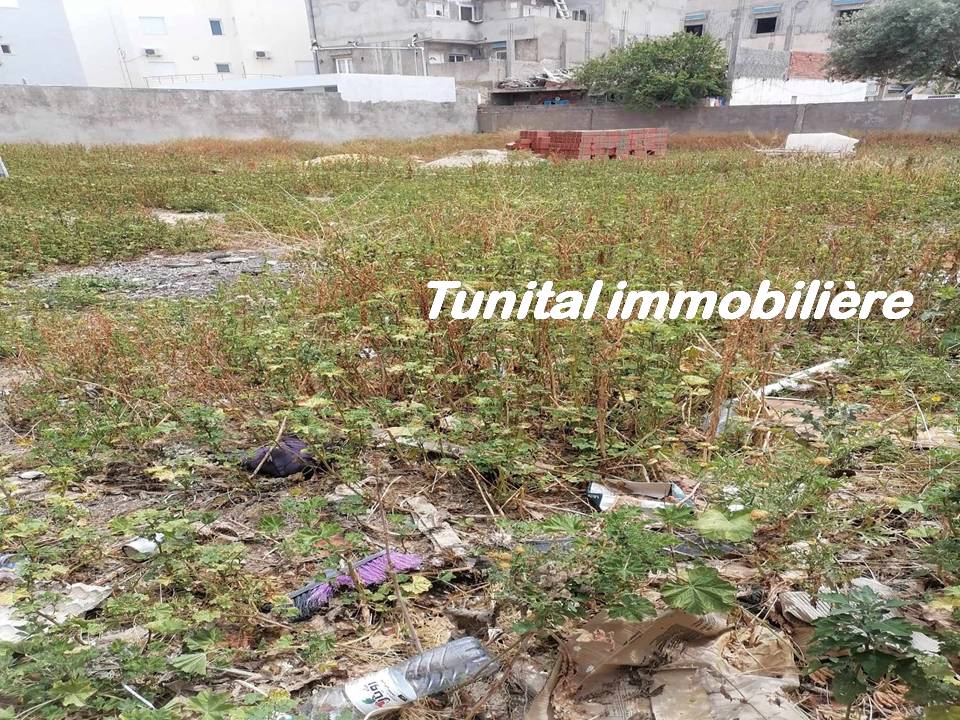 La Marsa Gammart Terrain Terrain nu Terrain  cltur