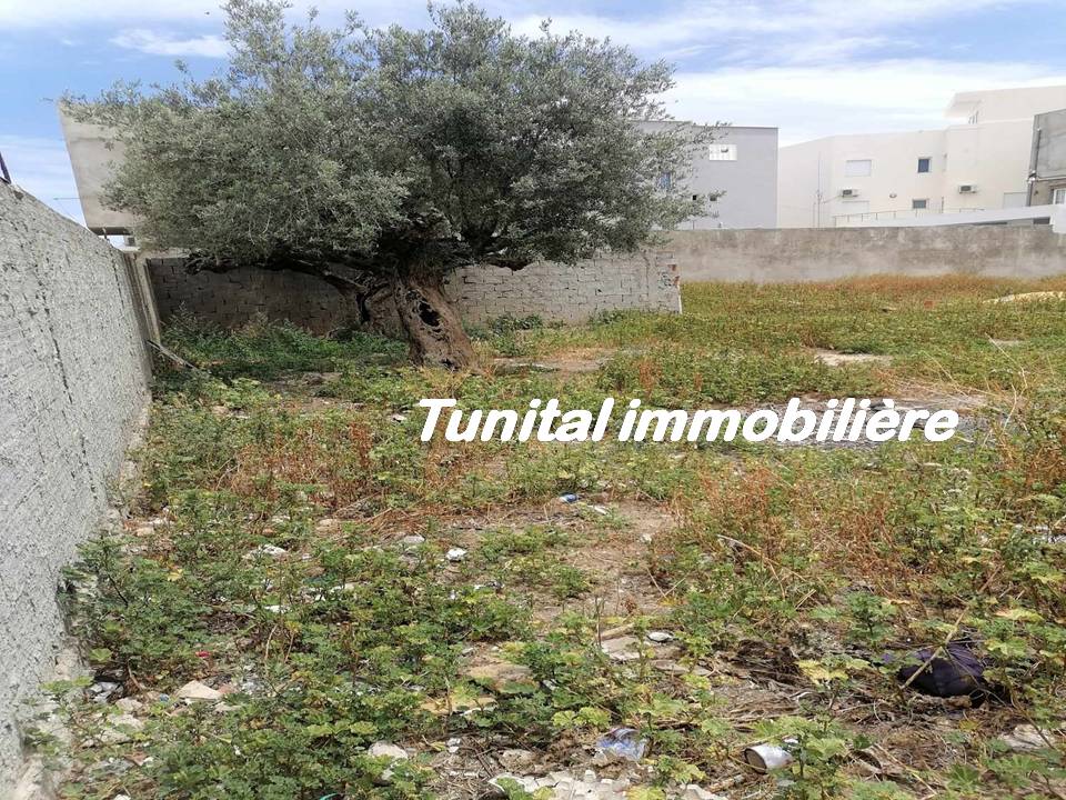 La Marsa Gammart Terrain Terrain nu Terrain  cltur