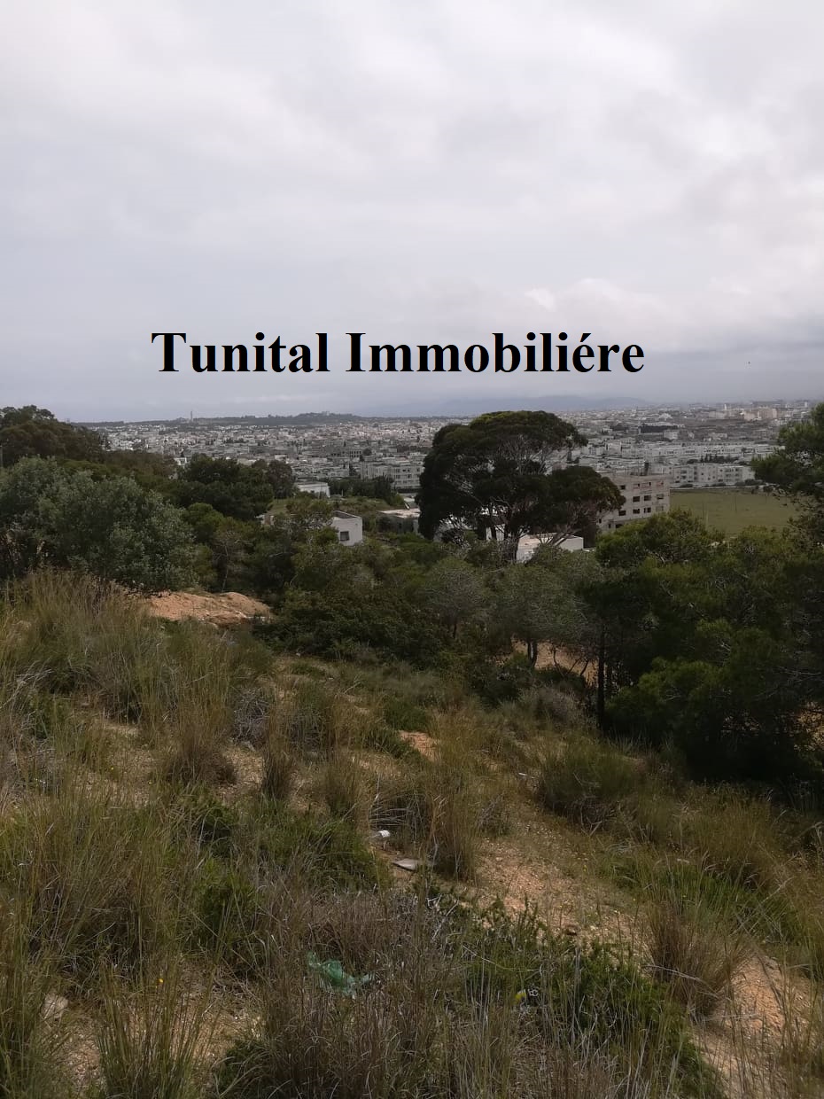 La Marsa Cite El Khalil Terrain Terrain nu Terrain vue panoramique