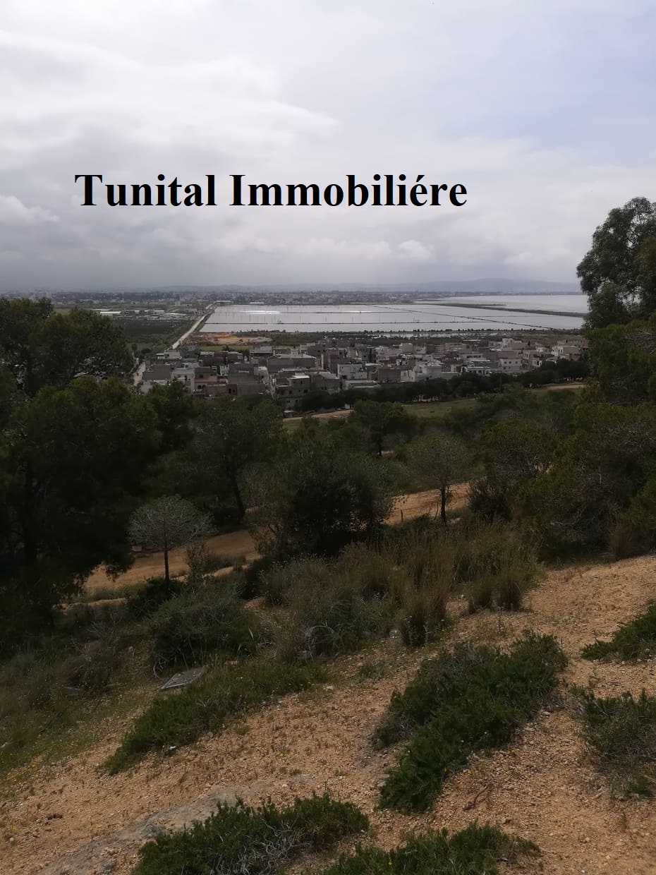 La Marsa Cite El Khalil Terrain Terrain nu Terrain vue panoramique