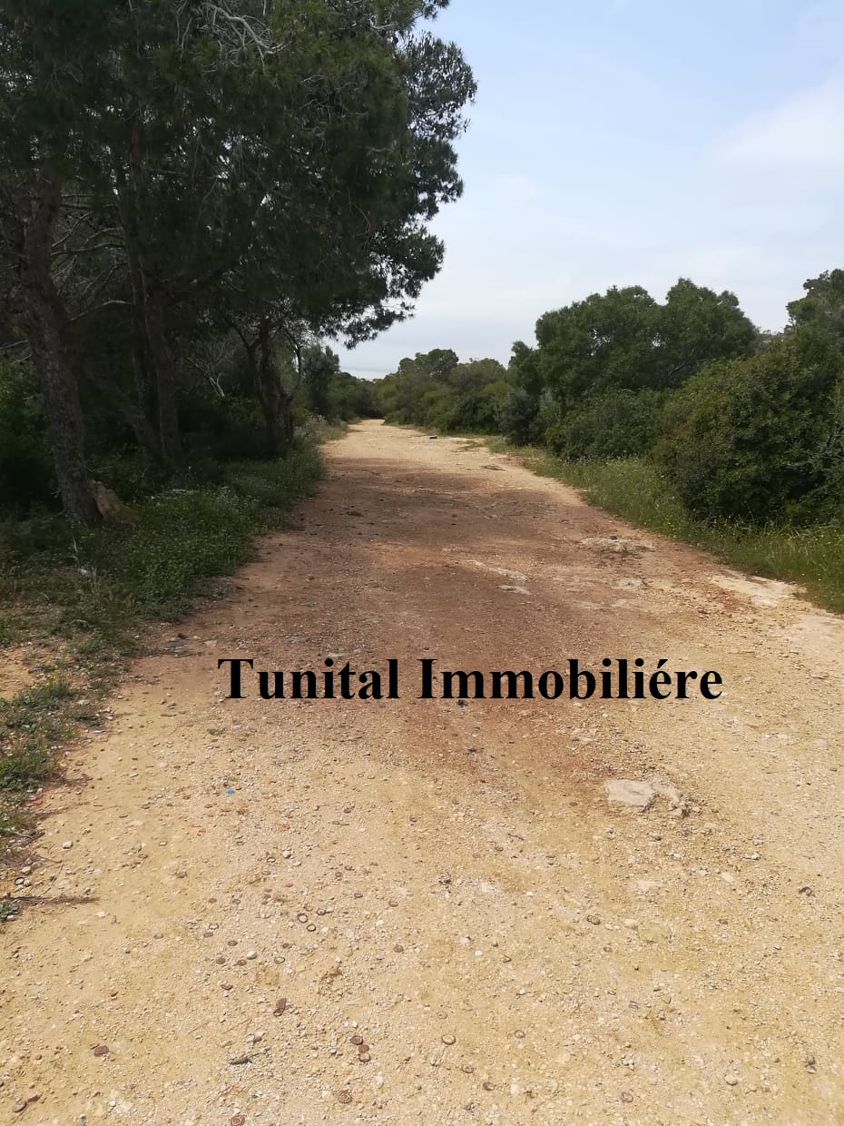 La Marsa Cite El Khalil Terrain Terrain nu Terrain vue panoramique