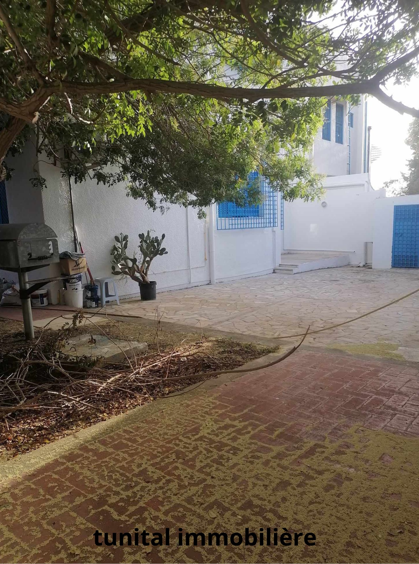 La Marsa Marsa Safsaf Location Maisons Villa vide