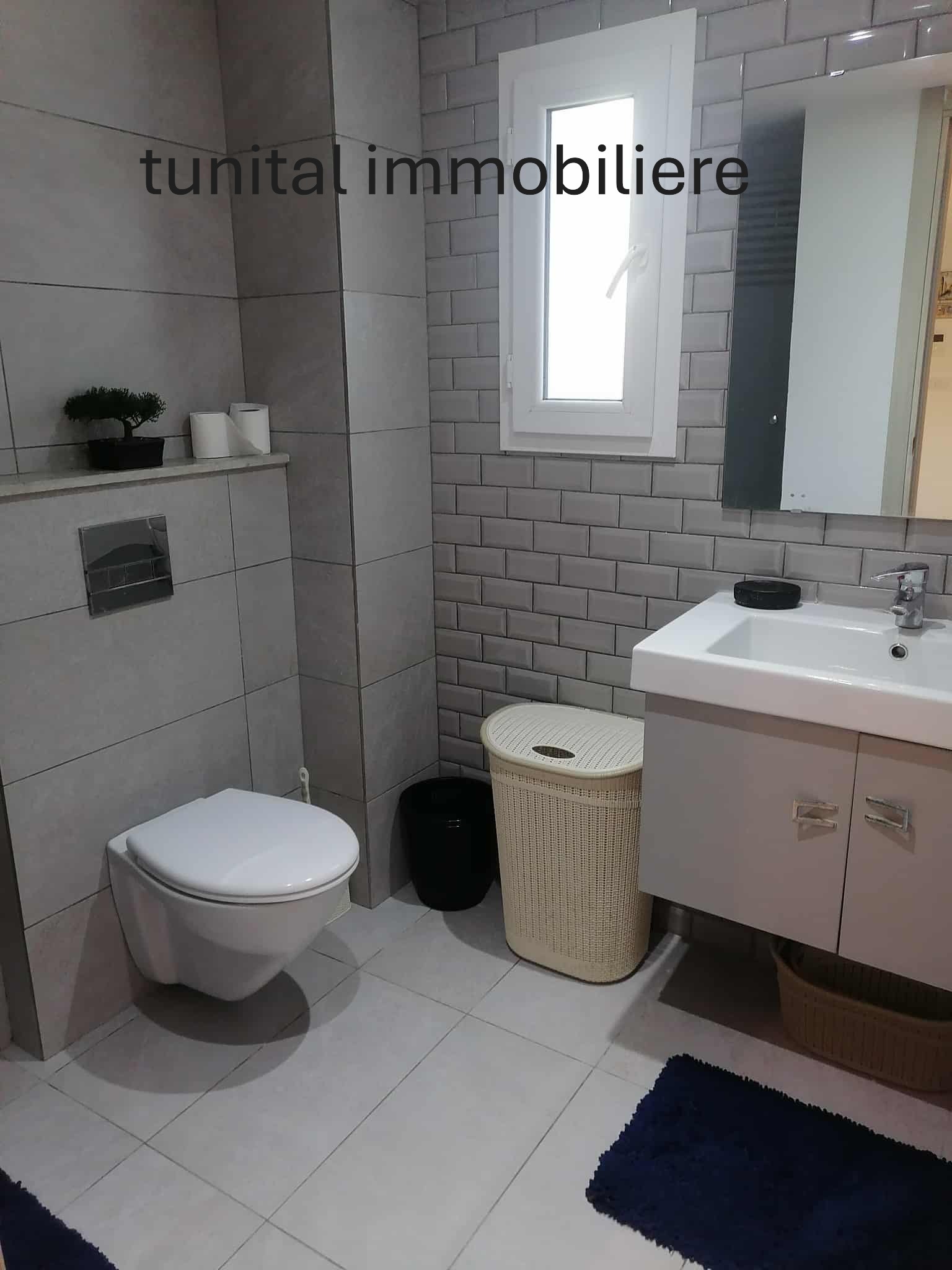 La Marsa Sidi Daoud Location Duplex Duplexe haut standing meuble