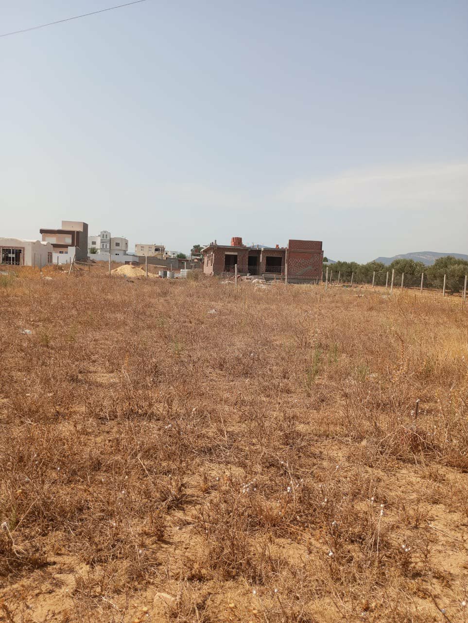 Hammamet Hammamet Terrain Terrain nu Av terrain 360m  monchar hammamet