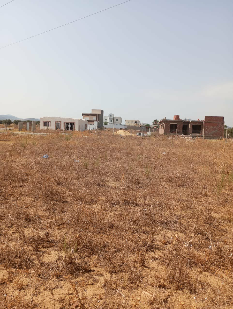 Hammamet Hammamet Terrain Terrain nu Av terrain 360m  monchar hammamet