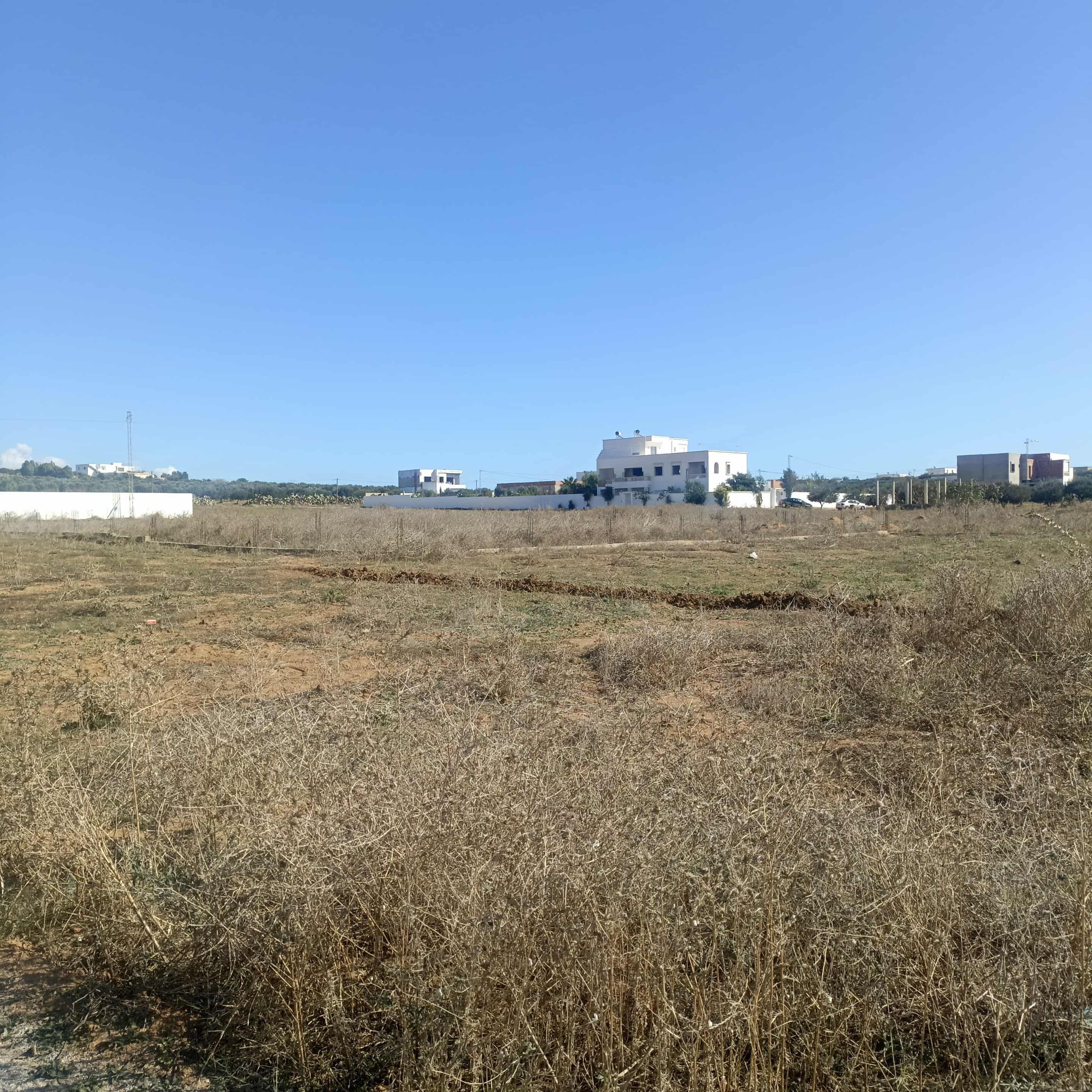 Hammamet Hammamet Terrain Terrain nu Av 400m monchar hammamet sud