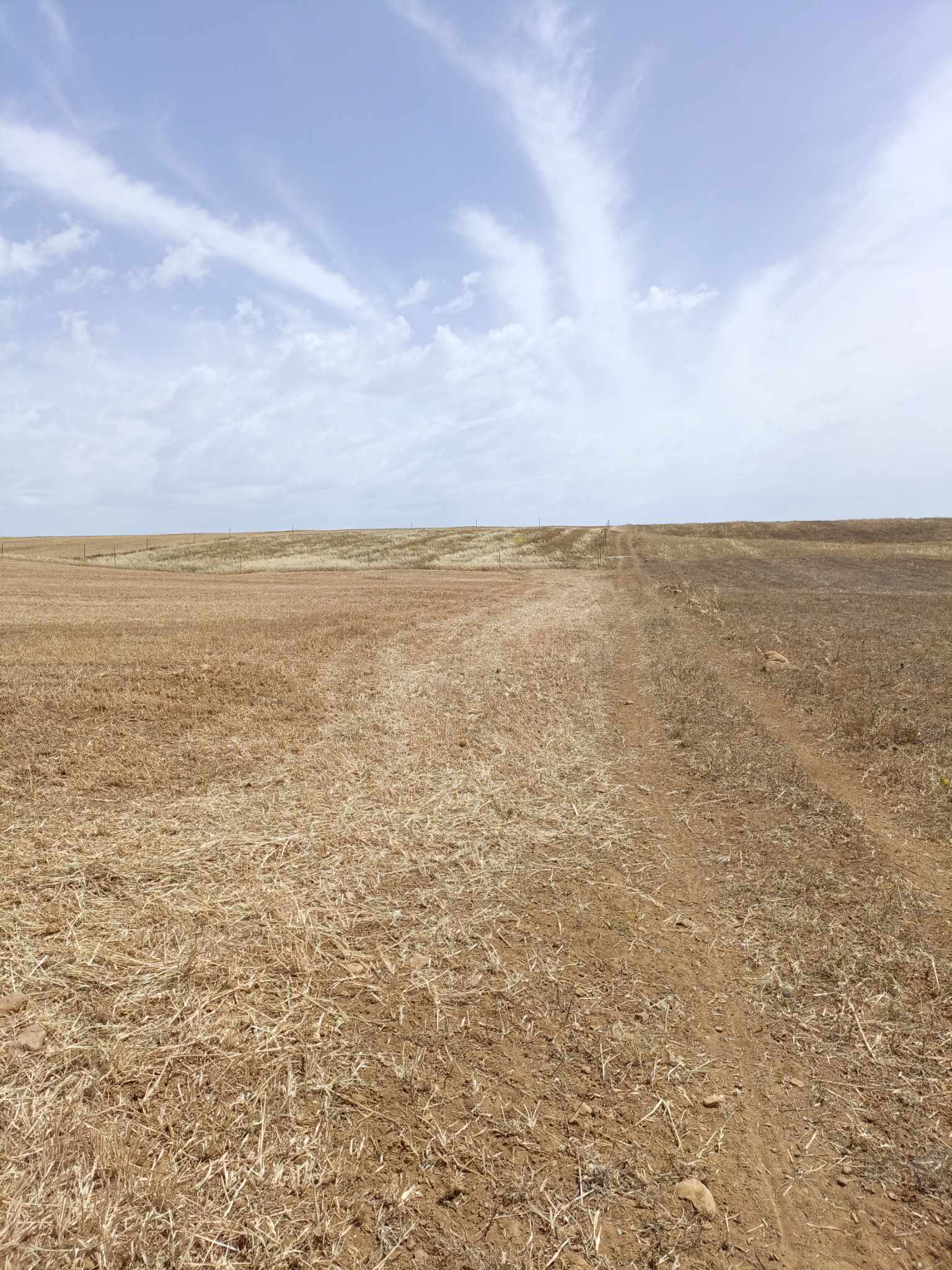 Hammamet&nbsp;Hammamet&nbsp;Terrain&nbsp;Terrain nu&nbsp;Av terrain de 4900m � hammamet sud