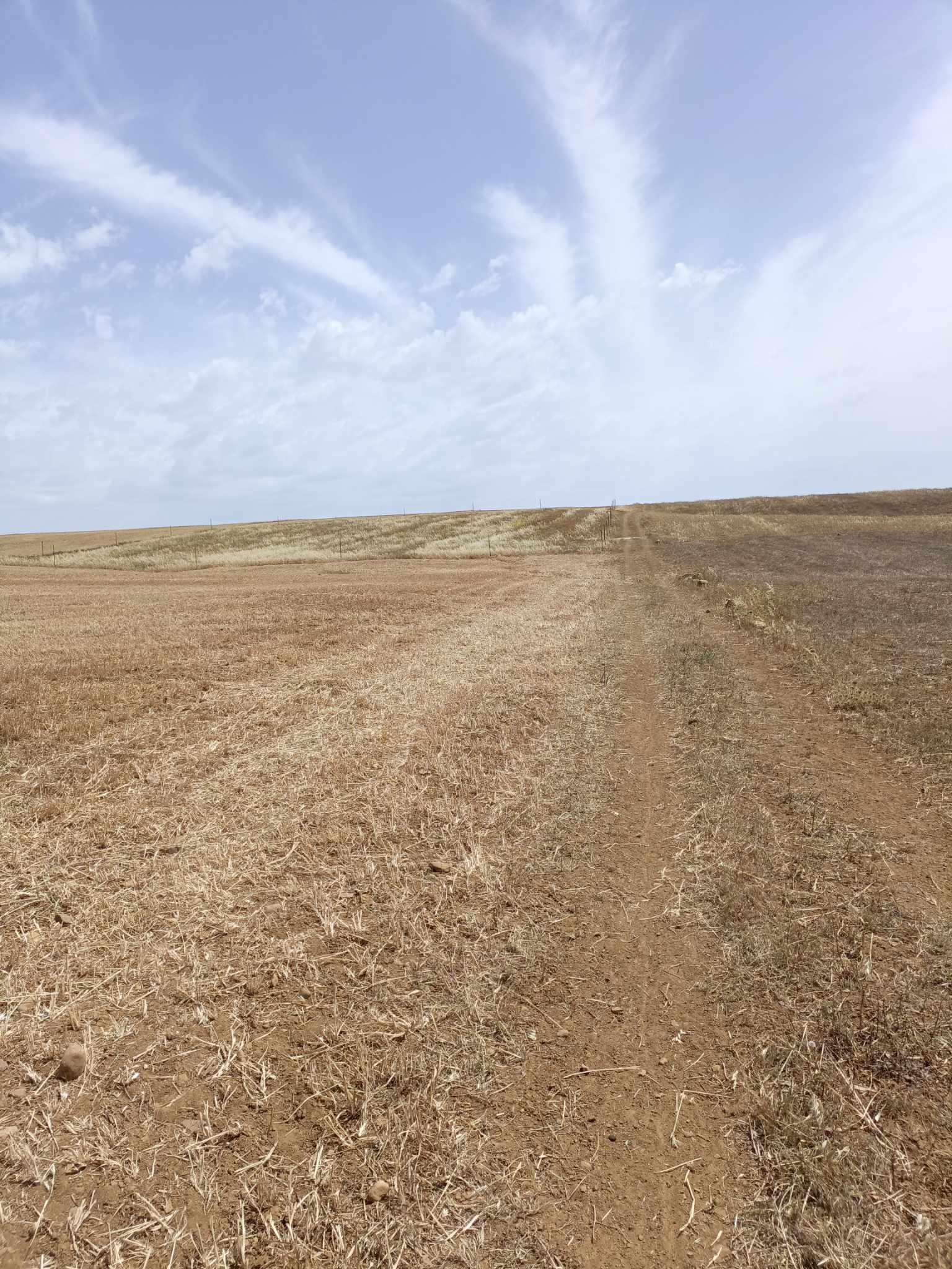 Hammamet&nbsp;Hammamet&nbsp;Terrain&nbsp;Terrain nu&nbsp;Av terrain de 4900m � hammamet sud