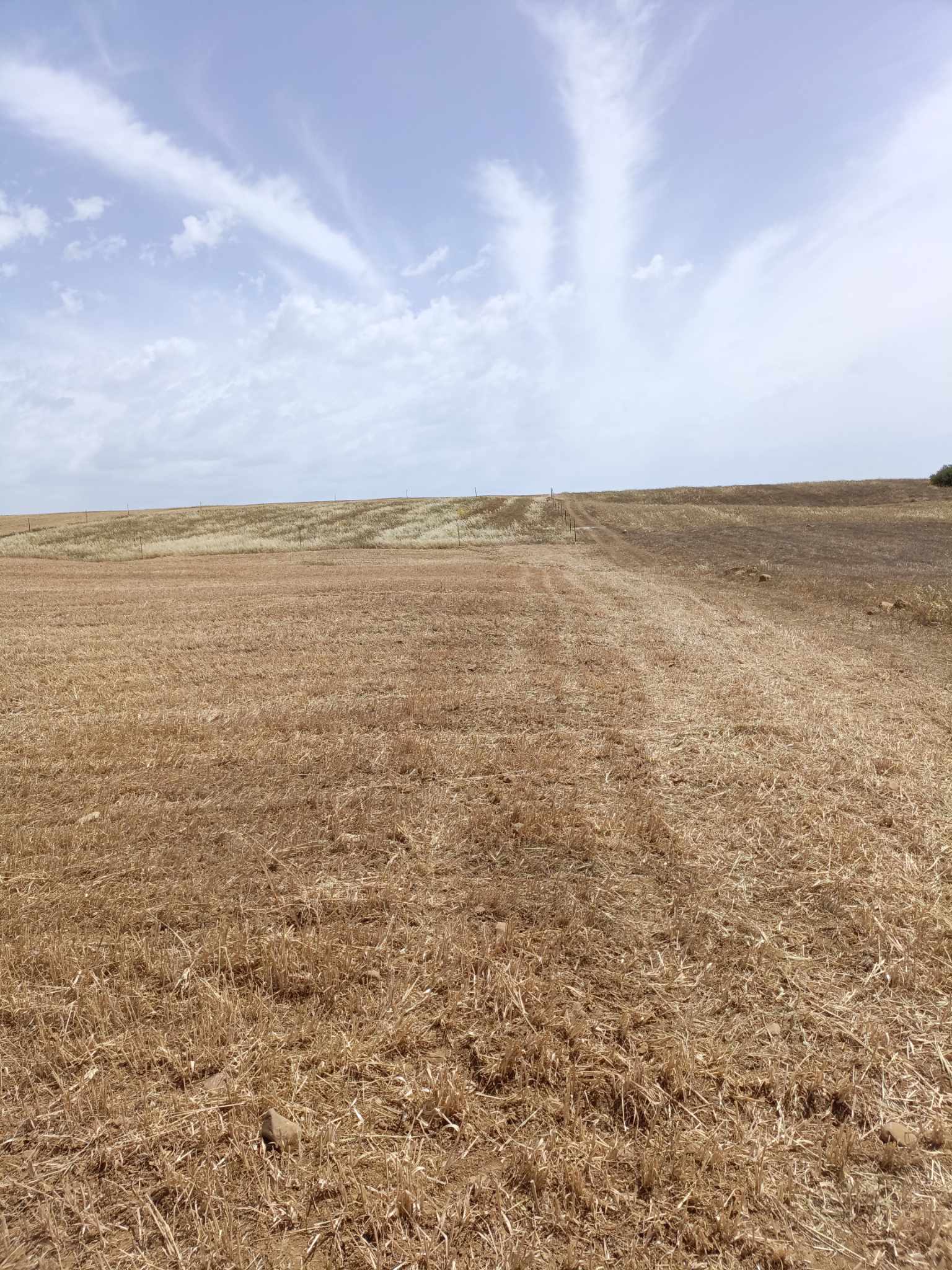 Hammamet&nbsp;Hammamet&nbsp;Terrain&nbsp;Terrain nu&nbsp;Av terrain de 4900m � hammamet sud