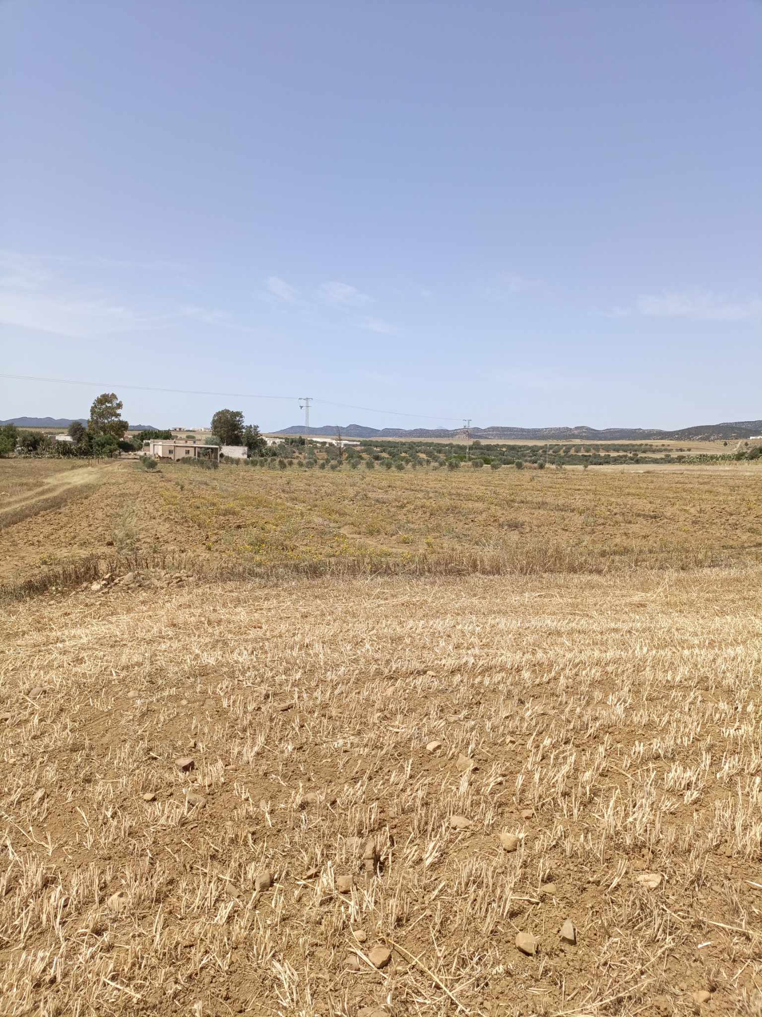 Hammamet&nbsp;Hammamet&nbsp;Terrain&nbsp;Terrain nu&nbsp;Av terrain de 4900m � hammamet sud