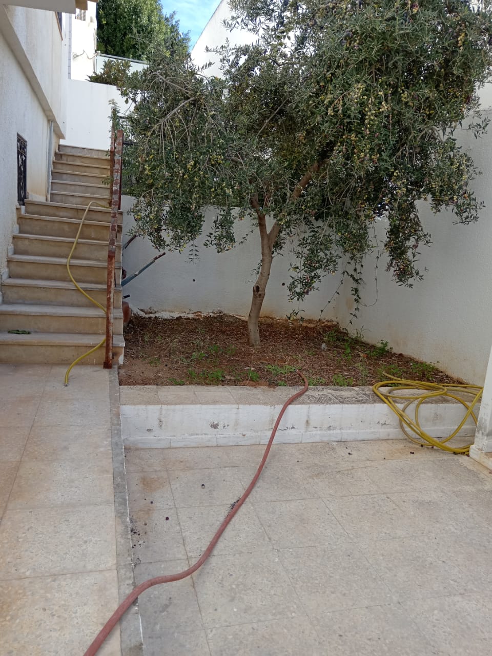 Mnihla Jardins d'el Menzah Location Appart. 2 pices Apptement rez jardin