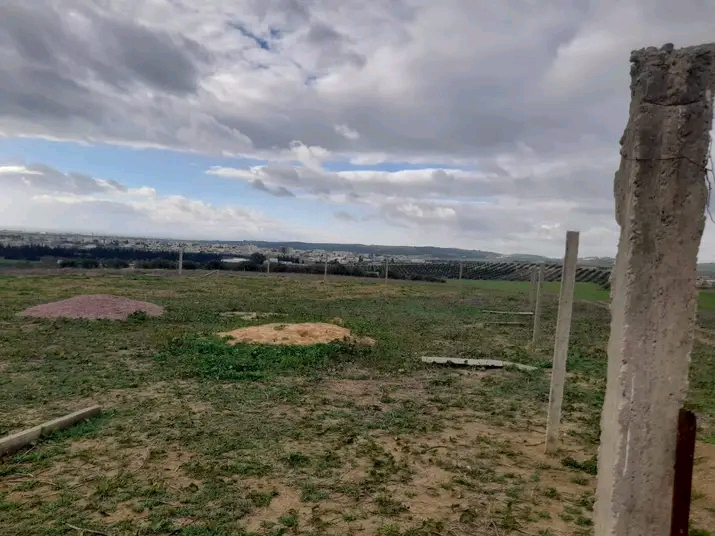 Mornaguia Mornaguia Terrain Terrain nu Terrain magnifique