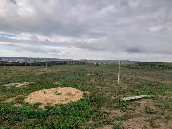 Mornaguia Mornaguia Terrain Terrain nu Terrain magnifique