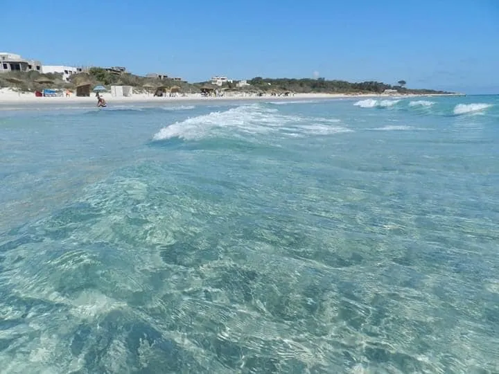 Hammam El Ghezaz Ezzahra Terrain Terrain nu Occasion magique de 1000 metre carre