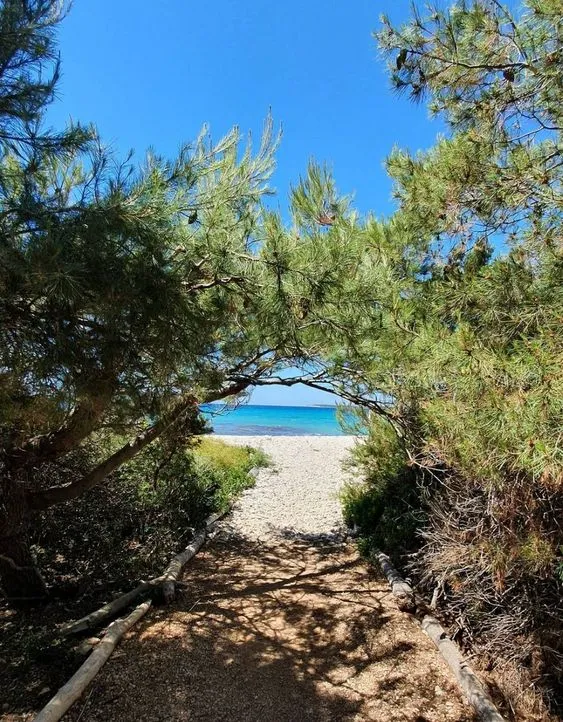 Kelibia Dar Allouche Terrain Terrain nu Un terrain a ne pas rater mgnifique