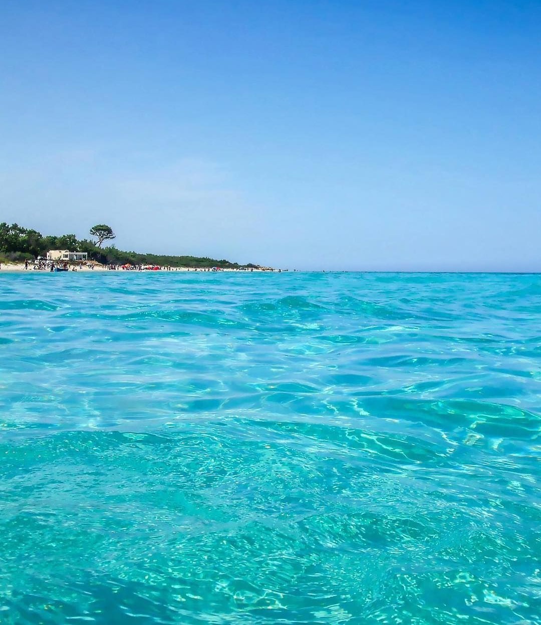 Hammam El Ghezaz Hammam El Ghezaz Terrain Terrain agricole 1 ha a hammam elghezaz