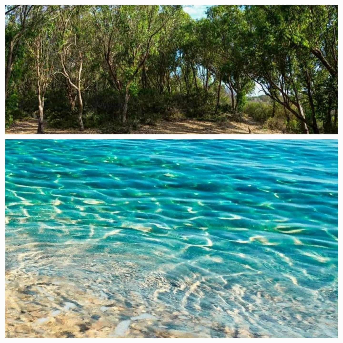 Kelibia Kerkouane Terrain Terrain nu Terrain paradisiaque cote kelibia