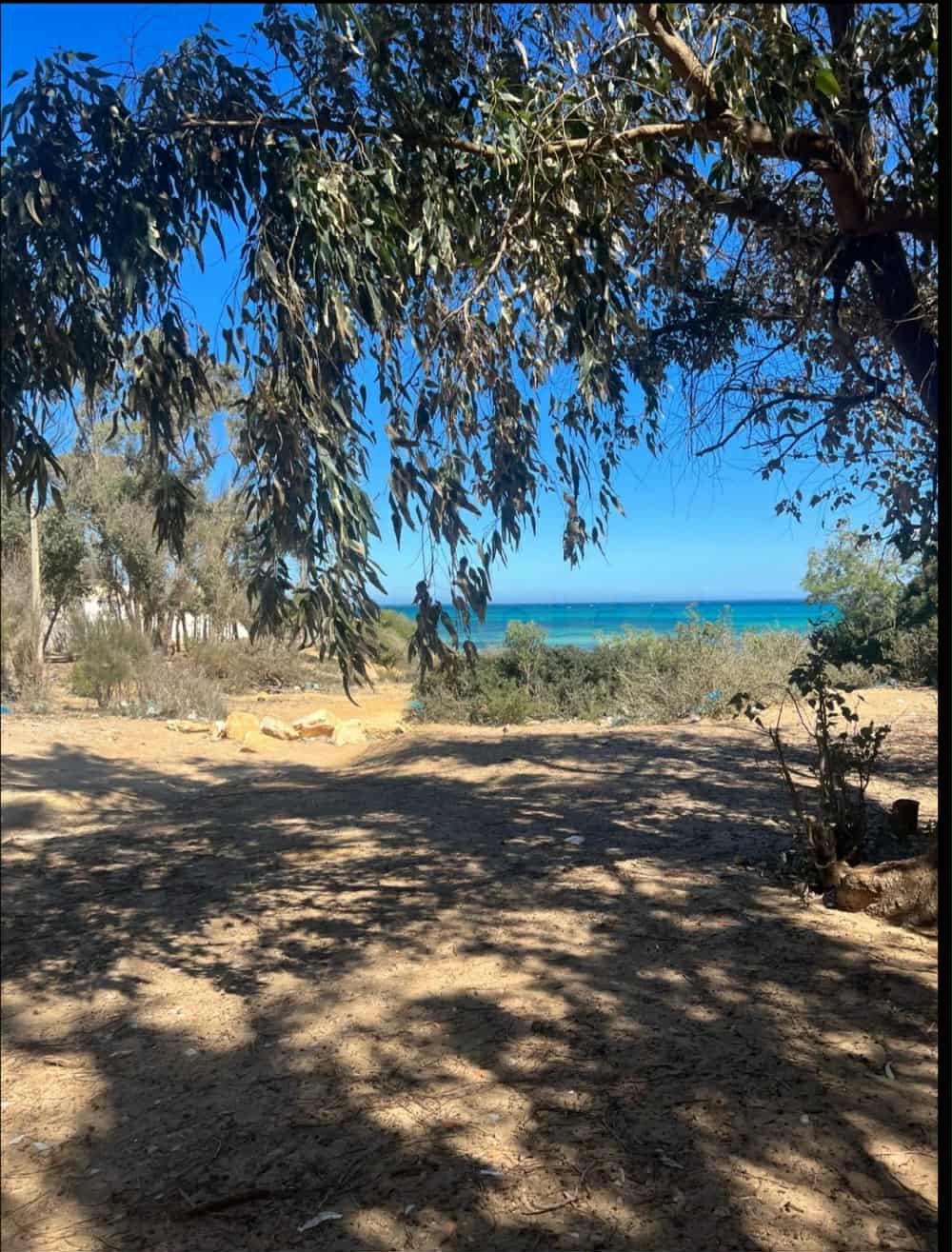 Hammam El Ghezaz Ezzahra Terrain Terrain agricole Un terrain de 1 ha cote kelibia