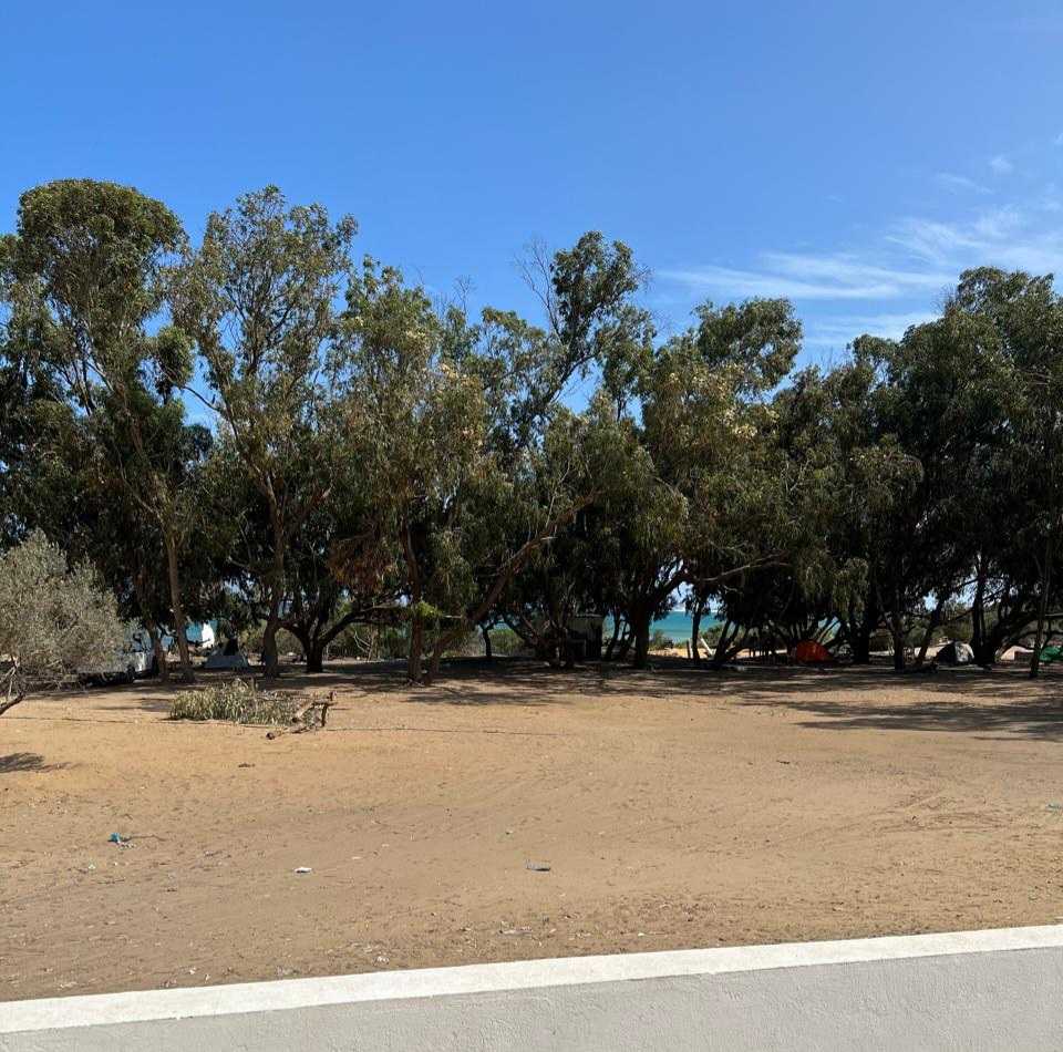 Hammam El Ghezaz Ezzahra Terrain Terrain agricole Un terrain pour investissement pres de kelibia