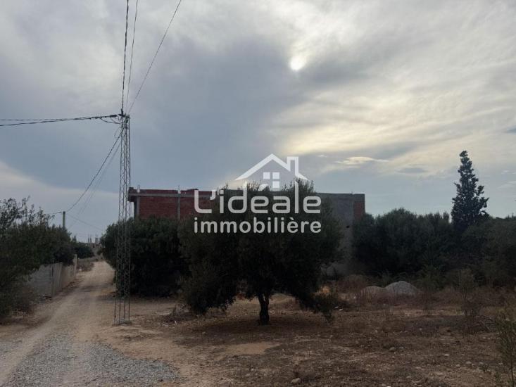 Hammamet Hammamet Terrain Terrain nu Terrain ramla  hammamet zone sidi hamed