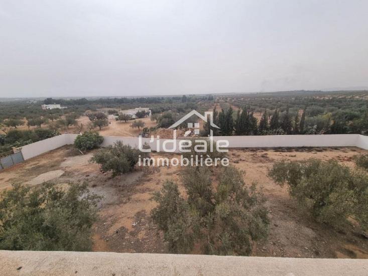 Hammamet Hammamet Terrain Terrain nu Terrain de 1000 m  besbassia hammamet