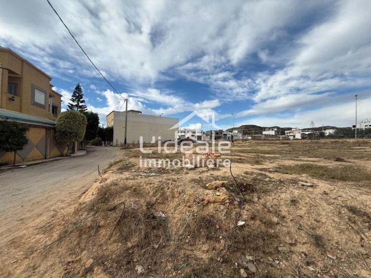 Hammamet Hammamet Terrain Terrain nu Terrain  hammamet nord ceinture nabeul