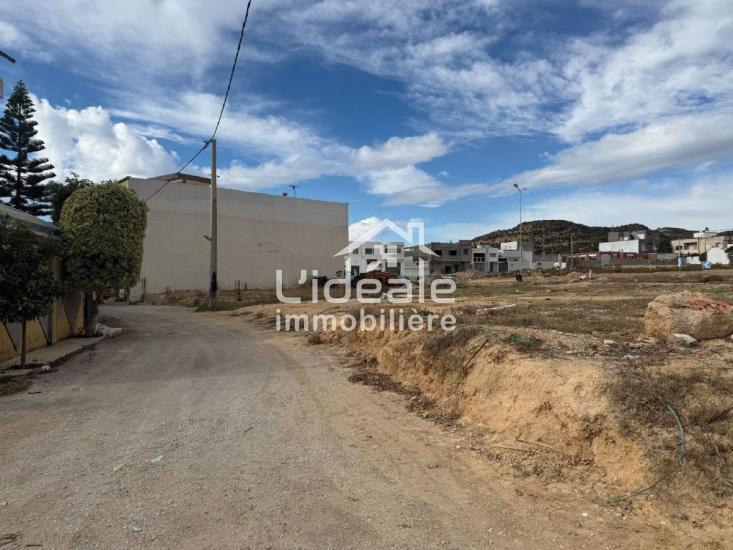 Hammamet Hammamet Terrain Terrain nu Terrain  hammamet nord ceinture nabeul