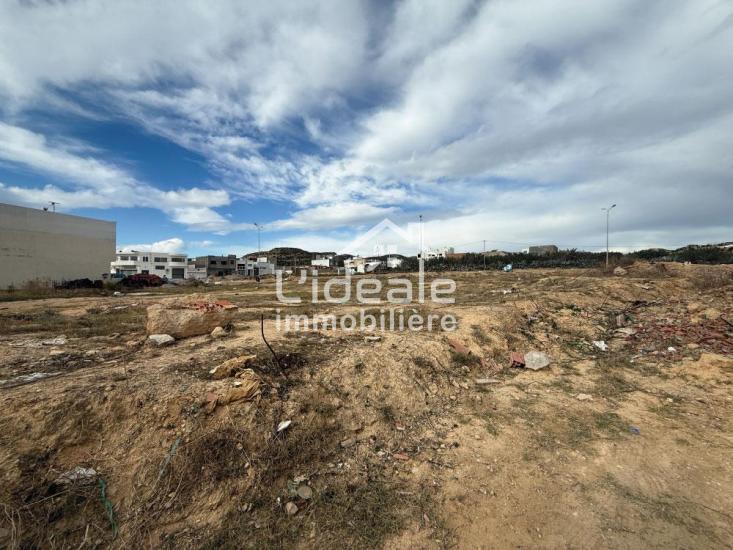 Hammamet Hammamet Terrain Terrain nu Terrain  hammamet nord ceinture nabeul