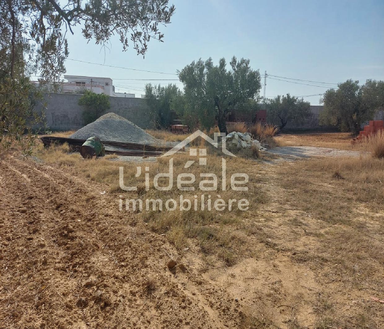 Hammamet Hammamet Terrain Terrain nu Terrain joelle  mrezgua hammamet nord