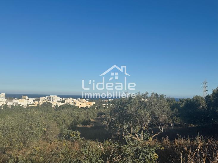 Hammamet Hammamet Terrain Terrain nu Terrain d exception  hammamet nord  kharrouba