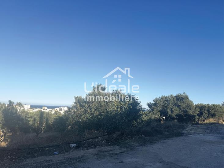 Hammamet Hammamet Terrain Terrain nu Terrain d exception  hammamet nord  kharrouba