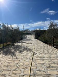 Kalaa El Kebira Kalaa El Kebira Vente Maisons    superbe maison de campagne ref882a