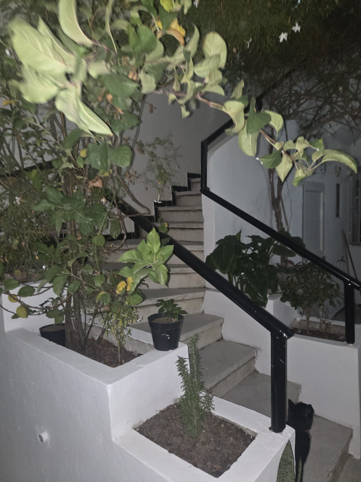 El Kram Le Kram Location Appart. 2 pices Charmant appartement s1 a 20m de la plage