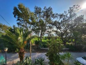 Carthage Cartage Plage Vente Maisons    maison s3 meubl avec ref411a